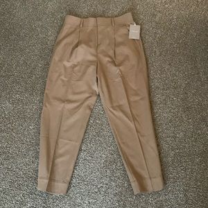 Everlane size 10 way high taper pant new with tags